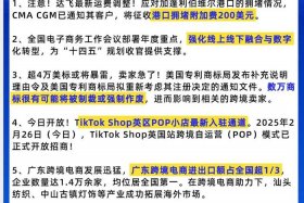 跨境电商资讯公司；跨境电商资讯公司怎么样
