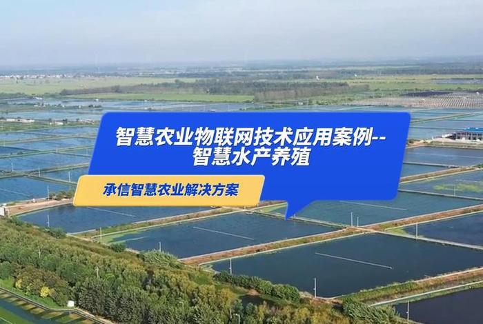 电商鱼塘 - 电商鱼塘用什么平台 电商鱼塘 - 电商鱼塘用什么平台