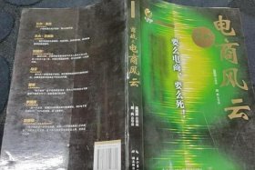 商战之电商风云第二季、商战之电商风云第二集内容