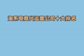 电商运营的公司有哪些（电商运营的公司有哪些公司）