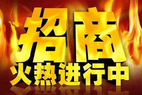 电商招商是什么意思；电商招商是什么意思啊