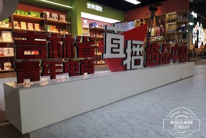 电商中心入口；电商中心效果图