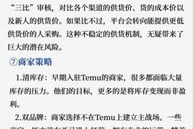 做跨境电商怎么做大、做跨境电商怎么做大单
