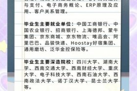 电商就业方向，电商就业方向的认知