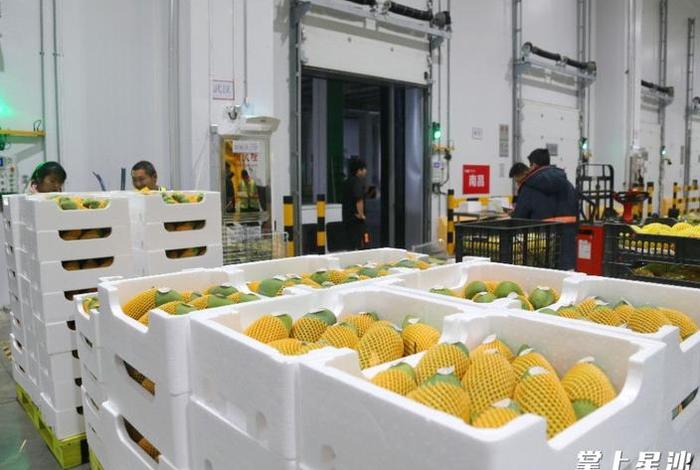 电商生鲜冷链物流，生鲜电商的冷链物流