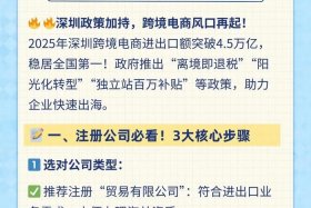 深圳跨境电商联盟（深圳跨境电商联盟有哪些）