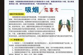 电商宣传图 - 电商宣传图片有抽烟的处罚规定