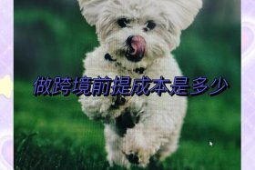 跨境电商要多少启动资金、跨境电商要多少启动资金才够用