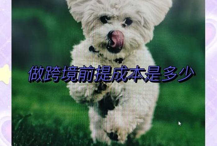 跨境电商要多少启动资金、跨境电商要多少启动资金才够用 跨境电商要多少启动资金、跨境电商要多少启动资金才够用