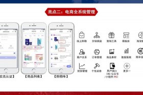 跨境电商商品管理系统 跨境电商监管平台