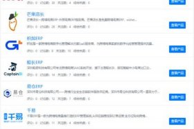 十大跨境电商erp排名榜 - 十大跨境电商erp排名榜最新