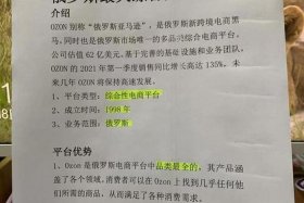 俄罗斯ozon电商平台回款不了，俄罗斯电商平台ozon中文