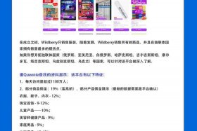 俄罗斯电商平台排名 - 俄罗斯电商平台排名榜