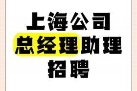 上海跨境电商招聘，上海跨境电子商务公共服务有限公司招聘