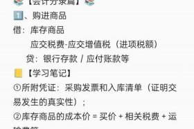 电商怎样做账报税（电商怎样做账报税流程）