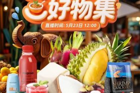 东南亚电商平台卖什么；东南亚电商平台卖什么产品好