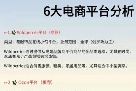 俄罗斯电商平台哪些对中国开放 俄罗斯电商平台哪些对中国开放的