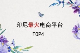 印尼电商平台有哪些类目、印尼电商平台有哪些类目的
