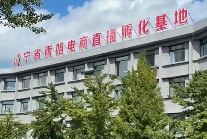 电商之都，电商之都是哪个城市