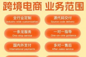 跨境电商app下载和使用（跨境电商app下载和使用方法）