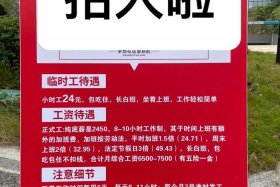 广东电商招聘、广东电商招聘临时工