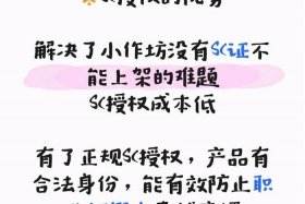 电商sc是什么；电商sc是什么意思