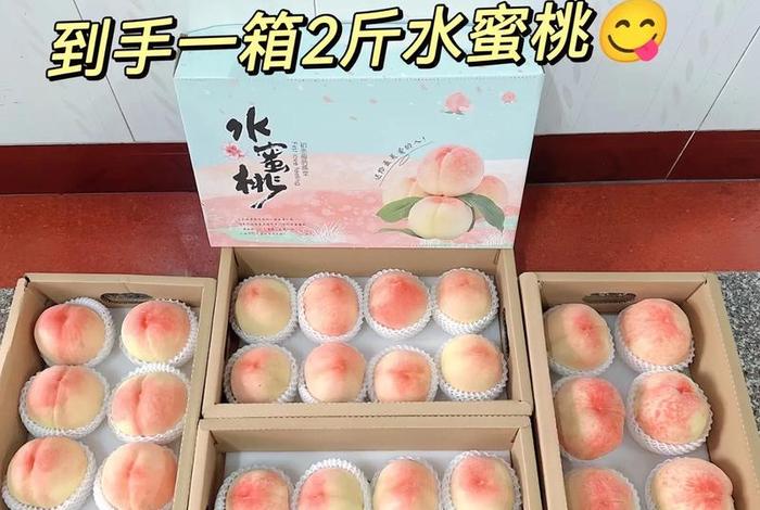 桃子是什么购物平台 - 桃子是什么购物平台的 桃子是什么购物平台 - 桃子是什么购物平台的