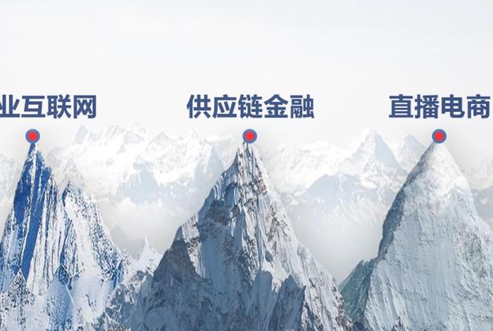 网盛电商靠谱吗,网盛担保融资有限公司可靠吗 网盛电商靠谱吗,网盛担保融资有限公司可靠吗