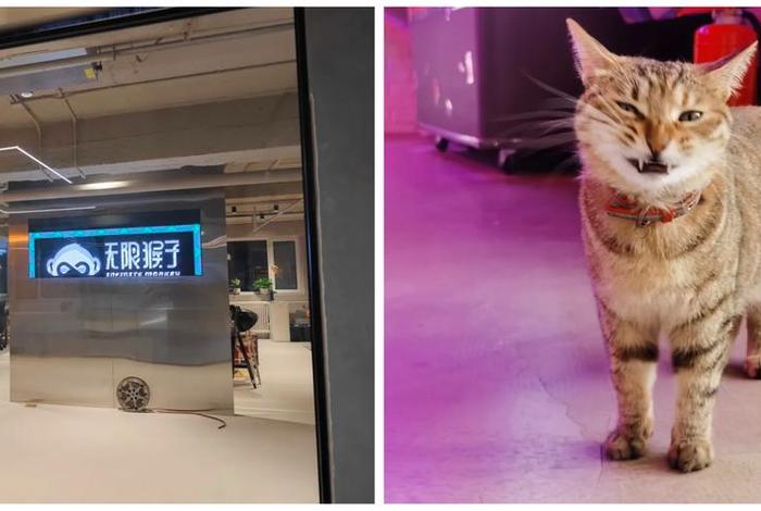 上海凯诘电商有限公司(上海凯诘电商有限公司招聘) 上海凯诘电商有限公司(上海凯诘电商有限公司招聘)