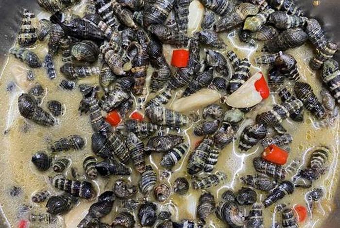 海螺丝电商、海螺丝电商园