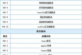 双十一电商销量排行，双十一电商销量排行榜