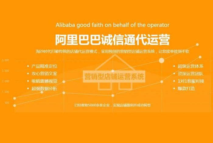 阿里巴巴电商平台搭建、阿里巴巴构建平台 阿里巴巴电商平台搭建、阿里巴巴构建平台