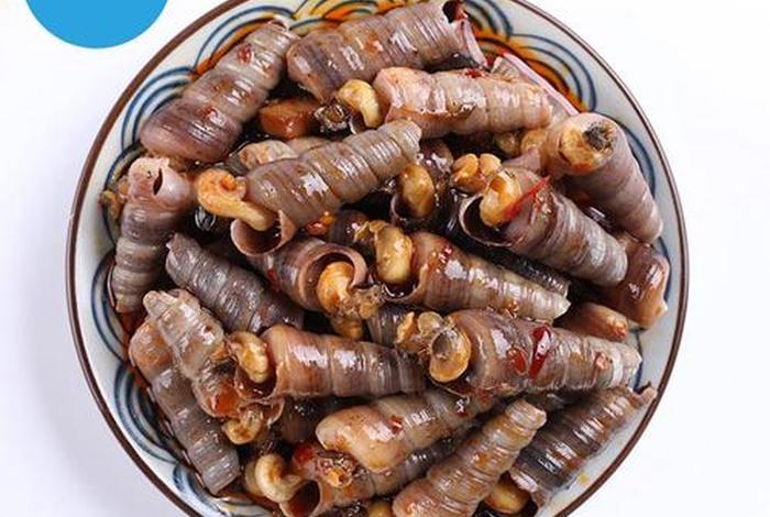 海螺电商平台官网登录网址 - 海螺电商平台官网登录网址是什么