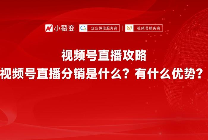什么是电商平台特色频道中的视频（什么是电商平台特色频道中的视频号）