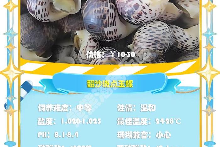 海螺电商平台官网、海螺电商平台官网下载