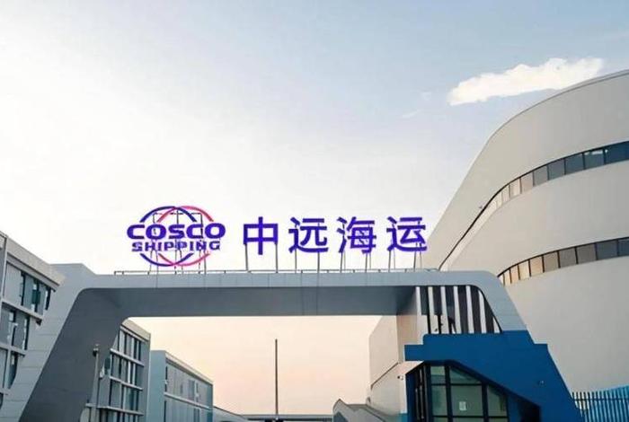 中远泛亚电商平台；中远泛亚电商平台是什么