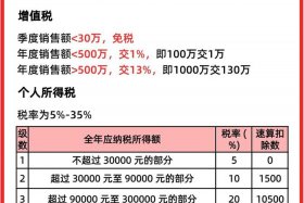 电商平台公司怎么交税 - 电商平台公司怎么交税的