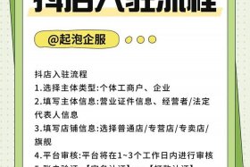 入驻电商平台店铺；入驻电商平台店铺流程