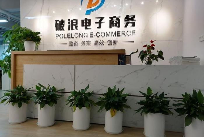 成都电商运营公司有哪些、成都电商运营公司有哪些公司