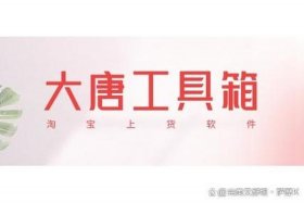 大唐电商上货软件、大唐电商上货软件有哪些