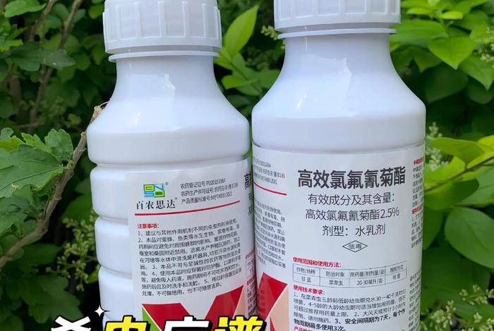 大丰收农药厂家(大丰收农药厂家联系电话) 大丰收农药厂家(大丰收农药厂家联系电话)