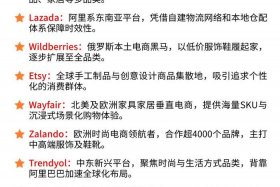 全球跨境电商排名（全球跨境电商排名榜）