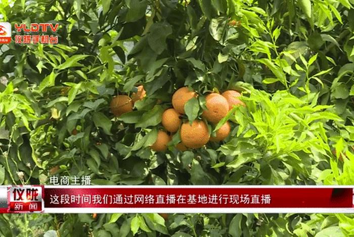 云麦电商靠谱吗 云麦电商运营怎么样 云麦电商靠谱吗 云麦电商运营怎么样