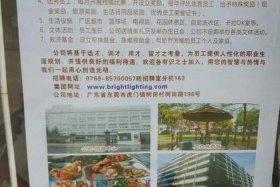 上峰电商产业园招聘 上峰电商产业园招聘电话