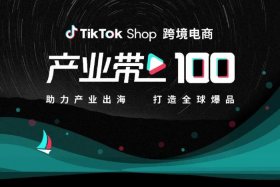 跨境电商平台tiktok、跨境电商平台tiktok官网