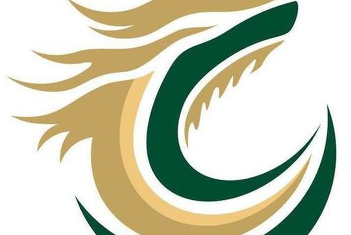 杭州龙炎电商集资案 杭州龙炎电子商务冤案 杭州龙炎电商集资案 杭州龙炎电子商务冤案