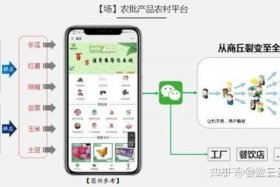 做农产品如何加入电商平台 做农产品如何加入电商平台呢