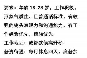 电商带货主播招聘要求、电商带货主播招聘要求怎么写
