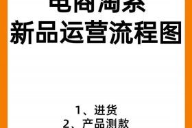 做电商运营；做电商运营的具体做什么