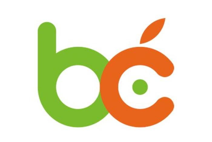 碧橙电商选品，碧橙电商ipo